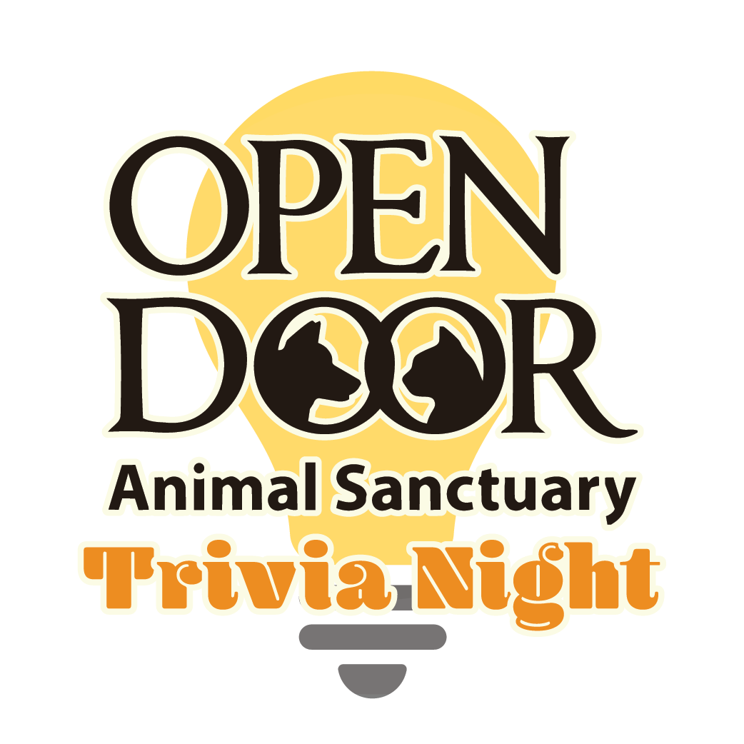 Spring Trivia May 2026 - logo